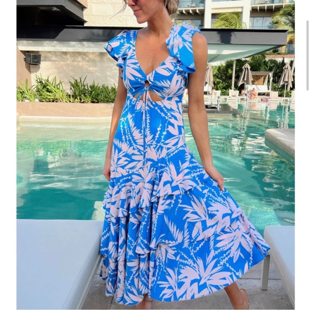 Vestique Size Small Karma Dress - Ruffles and Floral!